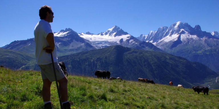 Alpine pasture at Pays du Mont-Blanc