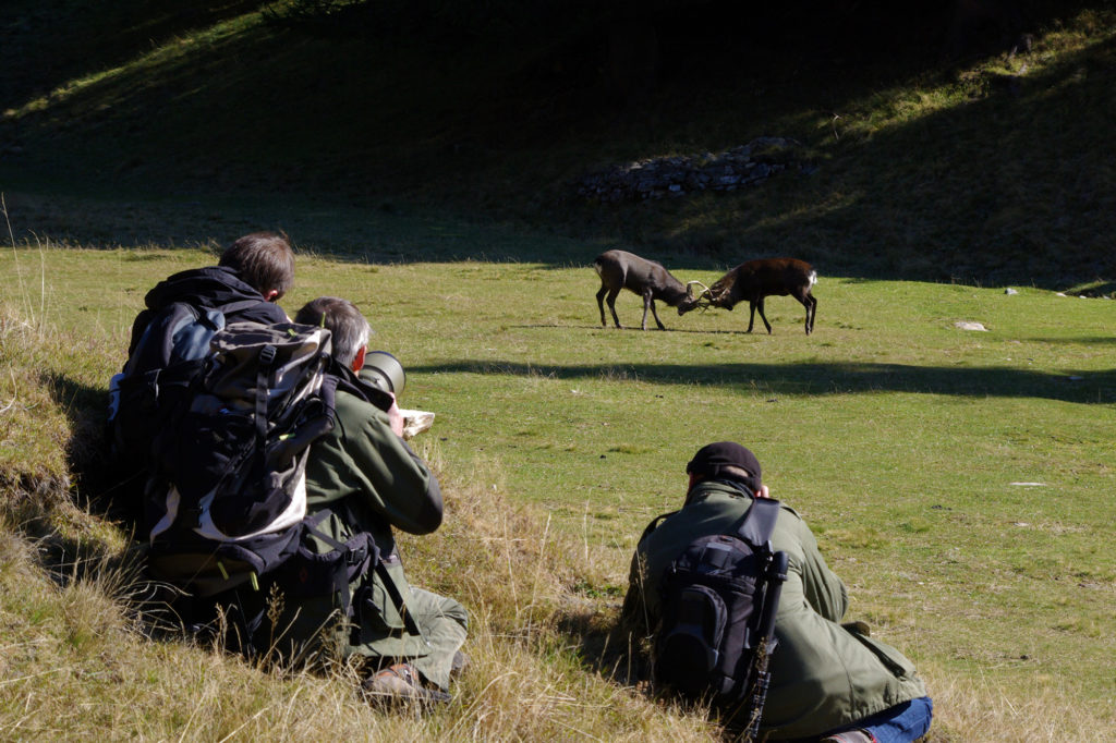 Photograph course at Merlet park