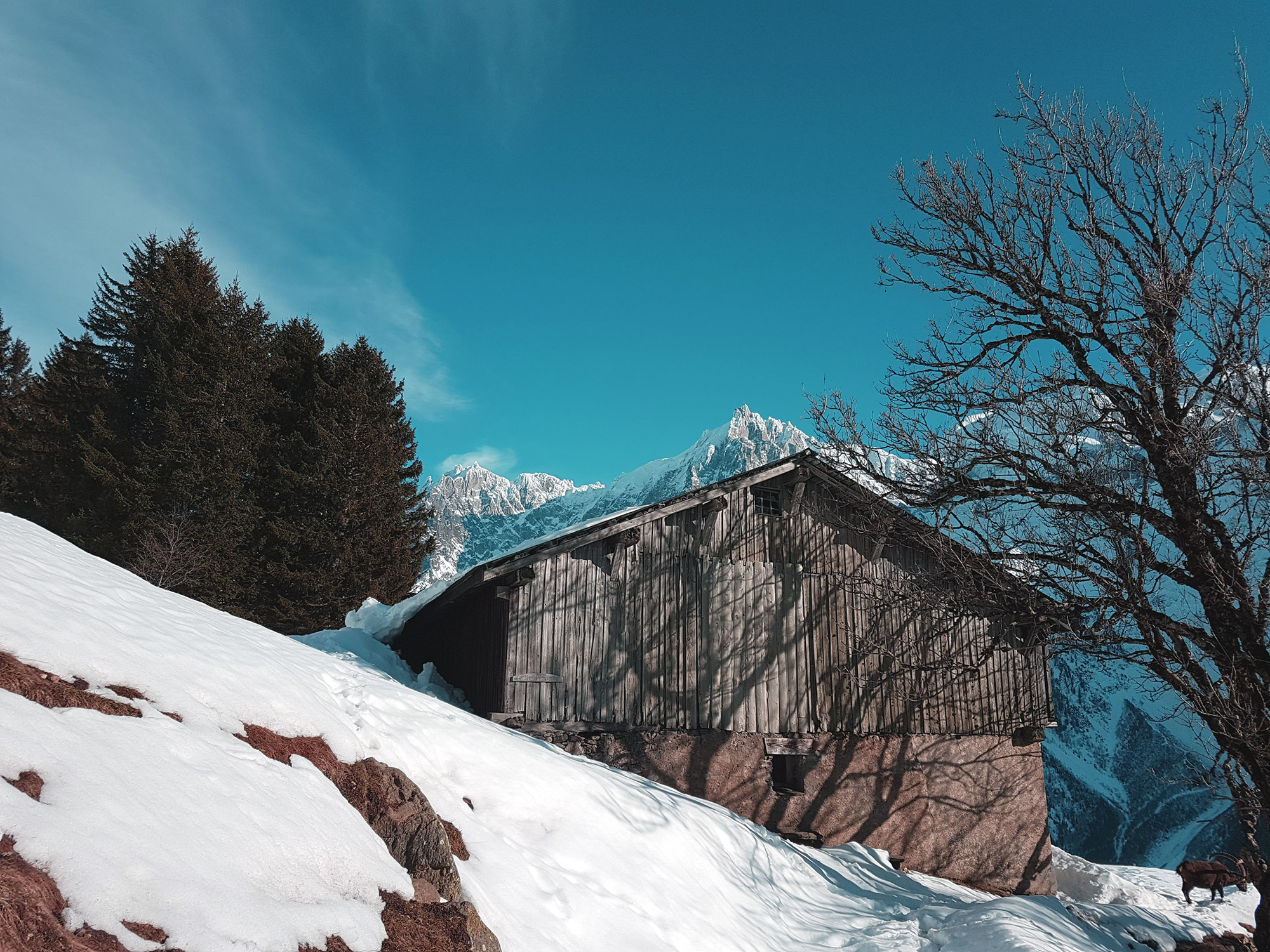 Groundhog chalet in Merlet Front in winter