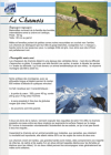 Overview educational sheet on chamois