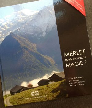 Livre Merlet, quelle est donc ta magie ?