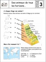 Les étages alpins, fiche pédagogique cycle 3