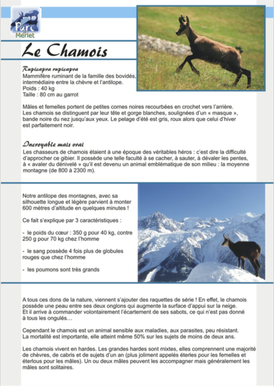 Overview educational sheet on chamois