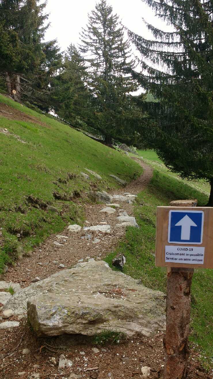 sentier sens unique – parc de merlet sens unique à Merlet pendant la crise sanitaire