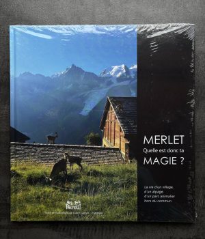 livre Merlet
